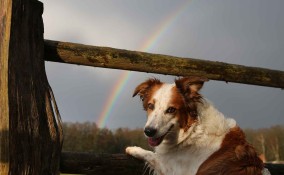 La leggenda del  Ponte dell'Arcobaleno