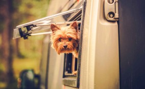 Orari del silenzio nel campeggio