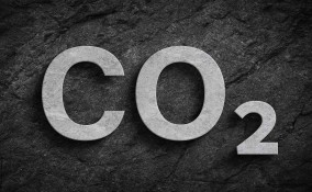 Perché non c'è più anidride carbonica