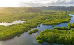 Amazzonia