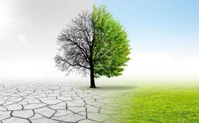 Cambiamenti climatici nella storia