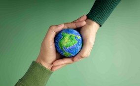 Film sull'ecologia