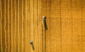 agricoltura
