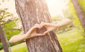 buoni propositi per l'ambiente, buoni propositi ecologici