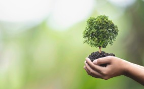 Biodiversità