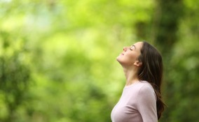 cosa fare per rilassarsi un giorno, cosa fare per rilassarsi