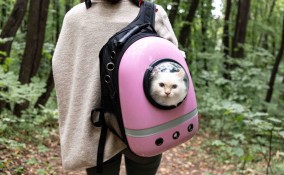 Come scegliere il trasportino cani e gatti