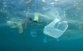 5 modi per salvare il mare