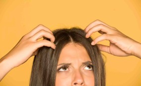 Cosa significa sognare i pidocchi