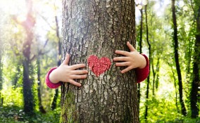50 modi per prendersi cura dell'ambiente