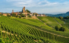 Langhe