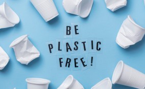 plastic free