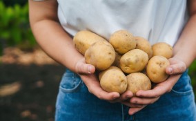 Patate e carote