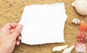 conchiglie fai da te carta