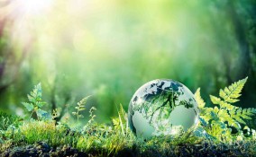 Agenda 2030: obiettivo 15