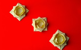 fiori origami facili