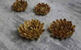 decori gusci pistacchio