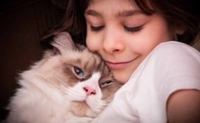 Animali domestici e persone con autismo