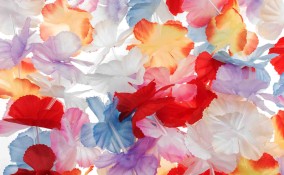 Fiori hawaiani fai da te