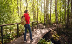 Turismo rigenerativo