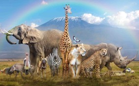 Giornata mondiale degli animali