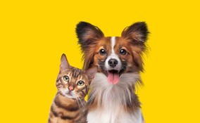 Bonus animali domestici 2024