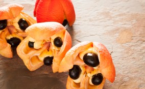 Frutto tossico
