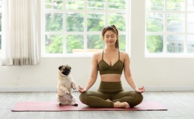 Puppy yoga