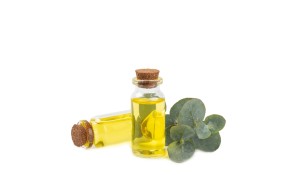 tea tree oil 