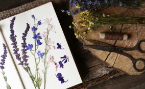 erbario quaderno fai da te, erbario fai da te, quaderno erbario fai da te