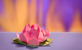 Fior di loto fai da te