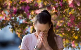 allergie di primavera