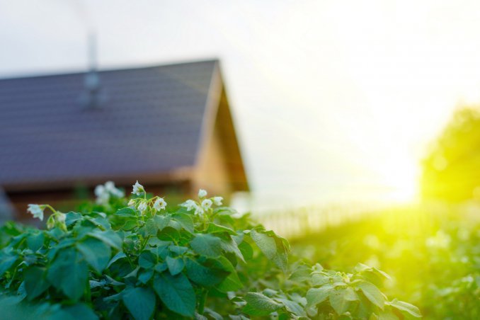 donna ruolo importante green job imprenditoria