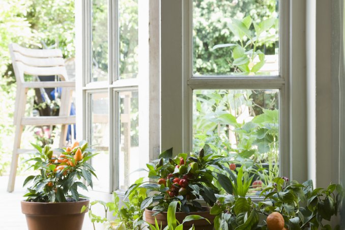 casa legno risparmio vantaggi svantaggi crisi ecologia efficienza energetica