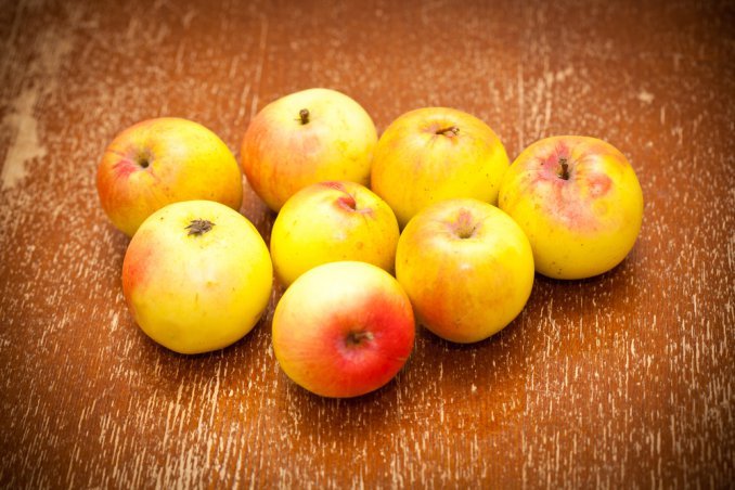 coltivare albero melo in giardino