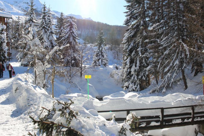 sci inverno neve attrezzatura abbigliamento sciare