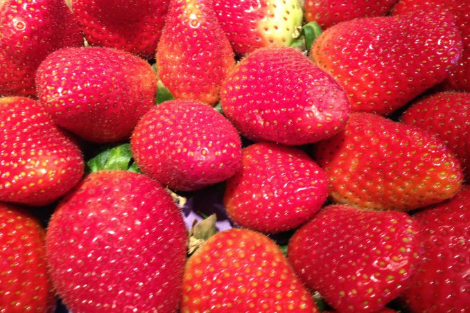 fragola proprietà primizia frutto rosso 