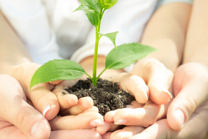 giornata della terra-ecologia-ambiente-pianta-crescita-mani