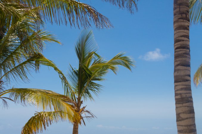 Kenya Watamu parchi Africa villaggi turistici