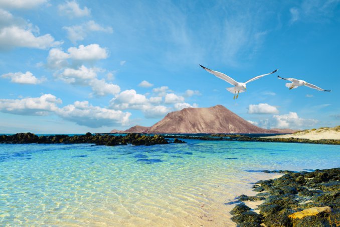 villeggiatura vacanza mare barca