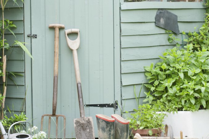 hobby fai da te casetta verde giardinaggio attrezzi ripostiglio giardino natura piante ecologia 