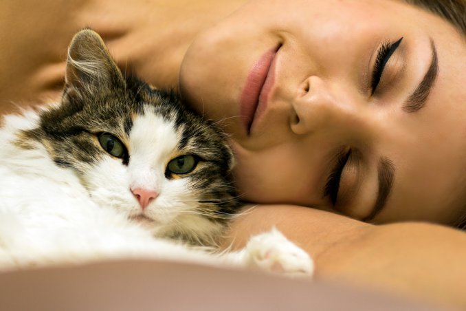 cani gatti casa igiene animali quattrozampe amici veterinario cura pulizia padrone cucciolo cuccia allergia profilassi