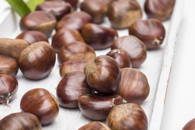 castagne decorazione