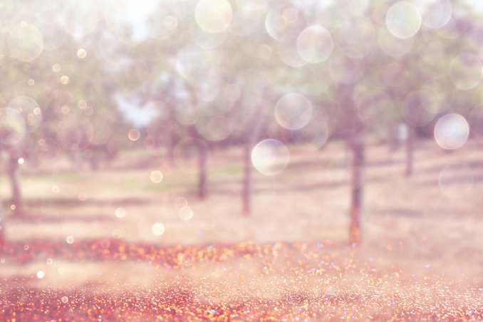 glitter brillantini fotografia 