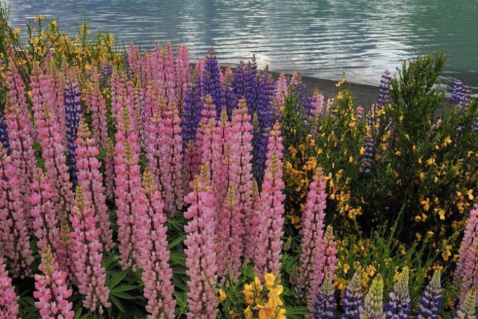 acongaua ande avventure nel mondo patagonia ushuaia