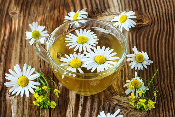 camomilla tisana rilassante 