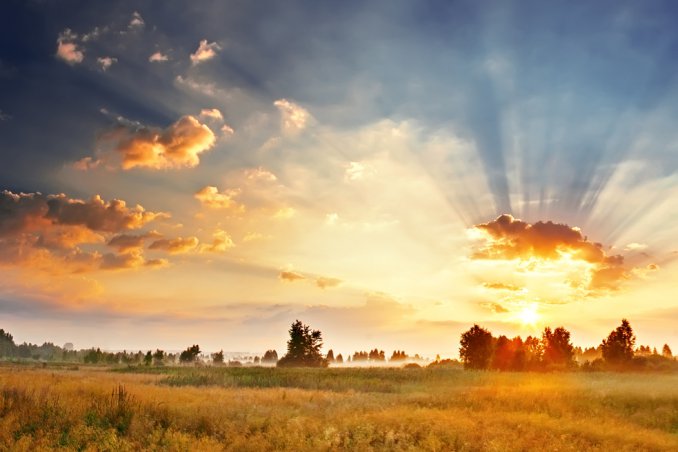 distesa, campo pianura