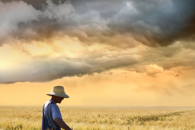 lavoratore della terra, terreno coltivato, prodotti della terra, campagna
