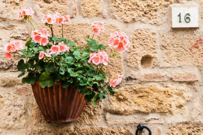 muro, parete, casa, barriera, ostacolo sogno