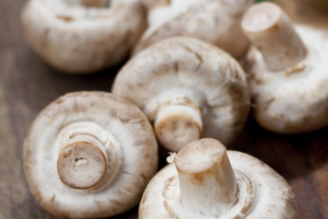 funghi consigli conservazione raccolta coltivazione casa autunno